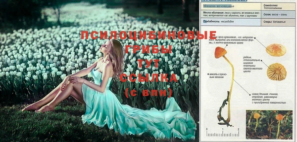 mix Баксан