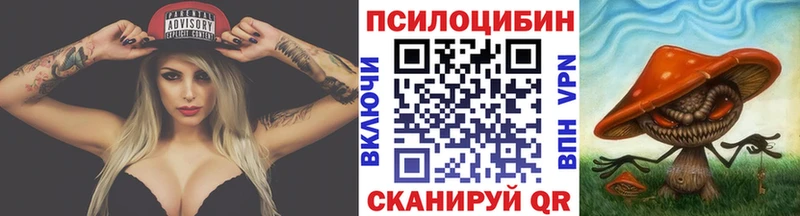 Псилоцибиновые грибы MAGIC MUSHROOMS  kraken tor  Вичуга 