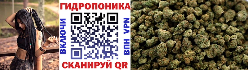 где продают   Вичуга  Каннабис план 